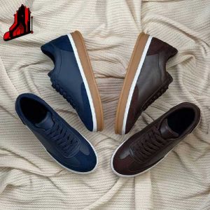 ونس زیره کرم